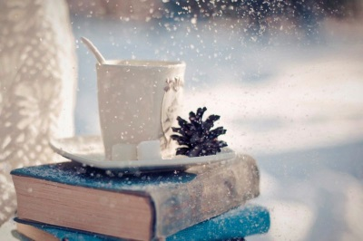 Winter reading suggestions compiled by TDS associates image