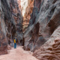 Man,Looking,Up,At,Wire,Pass,Canyon,,Utah,,Usa
